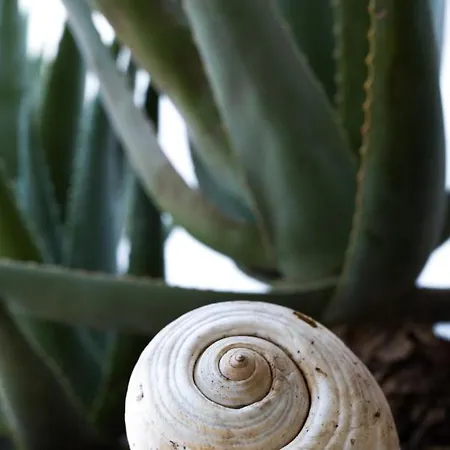 Apartament αριάδνη Gythio