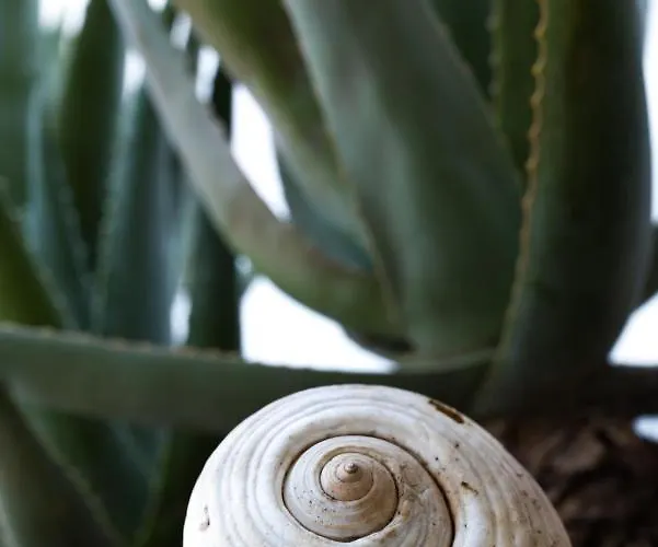 Διαμέρισμα αριάδνη Γύθειο